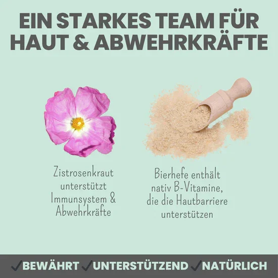 Noms+ Zistrosen Tabs - 100% natürliches Zistrosen-Leckerli für Wald- & Wiesenspaziergänge | Für Hund & Katze | 100% Chemiefrei | 150g