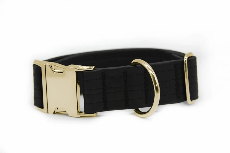 Hundehalsband mit Klickverschluss | Korkleder | Umweltfreundlich | Robust & Vegan | Schwarz/Gold