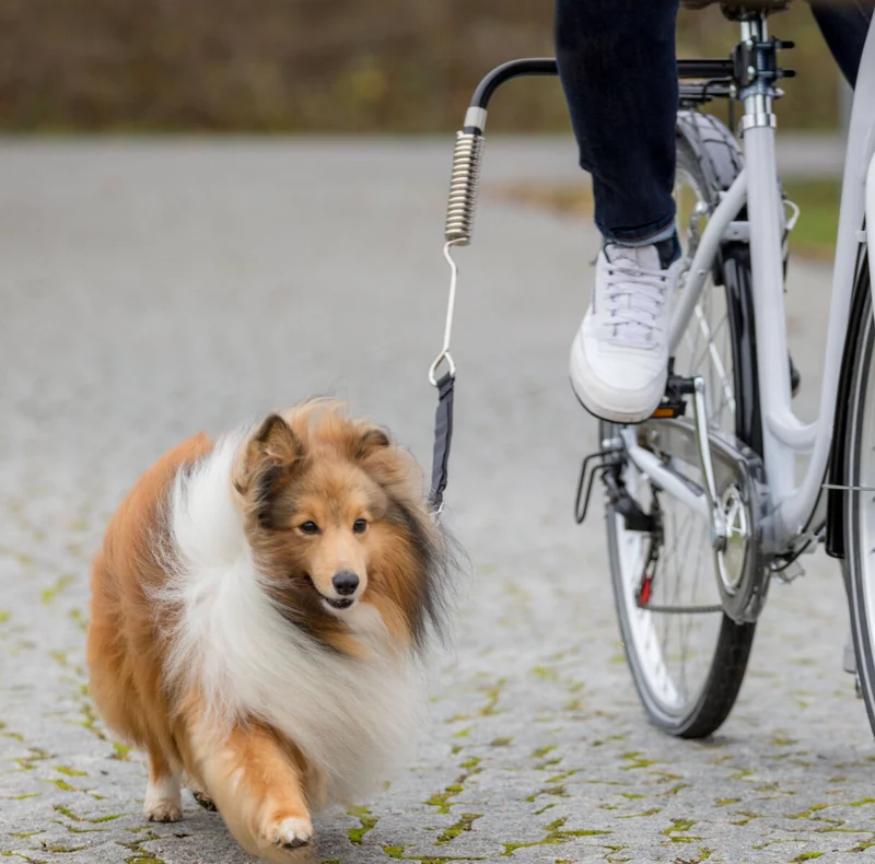 Biker-Set Fahrradhalterung für Hunde mit Abstandshalter und Federung