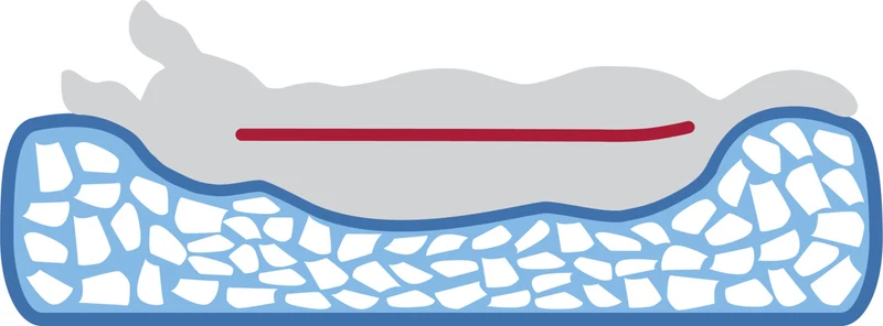 Vital Kissen Bendson