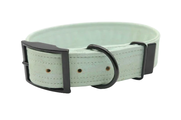 Hundehalsband mit Dornschnalle | Korkleder | Umweltfreundlich | Robust & Vegan | Mint/Schwarz