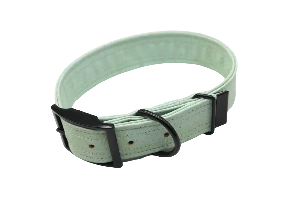 Hundehalsband mit Dornschnalle | Korkleder | Umweltfreundlich | Robust & Vegan | Mint/Schwarz
