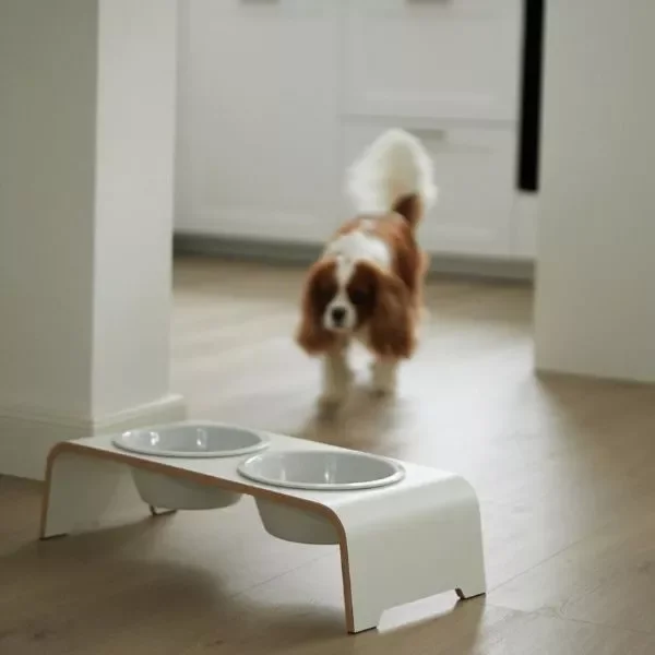 Futterstation dogBar® für Hunde | Porzellan | Cashmere grey | NEU: 6 Größen