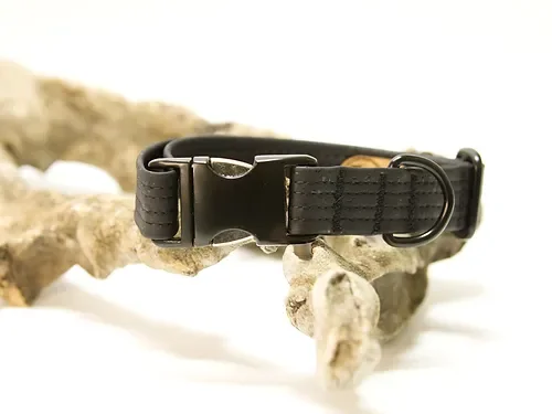 Hundehalsband mit Klickverschluss | Korkleder | Umweltfreundlich | Robust & Vegan | Schwarz/Schwarz