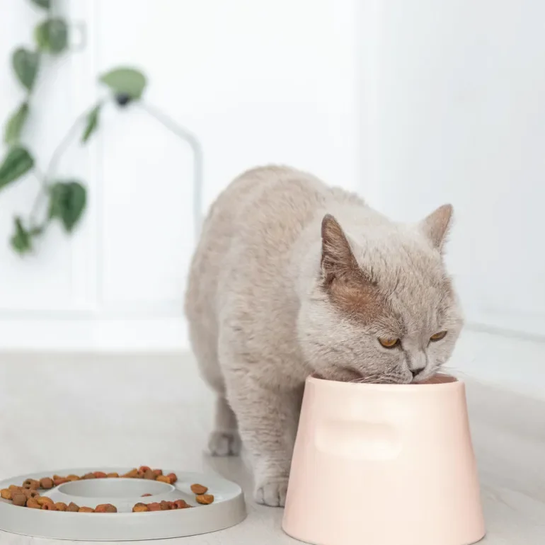 Katzennapf "Slowfeeder" von HOOPO® | 100% Porzellan | Rosa