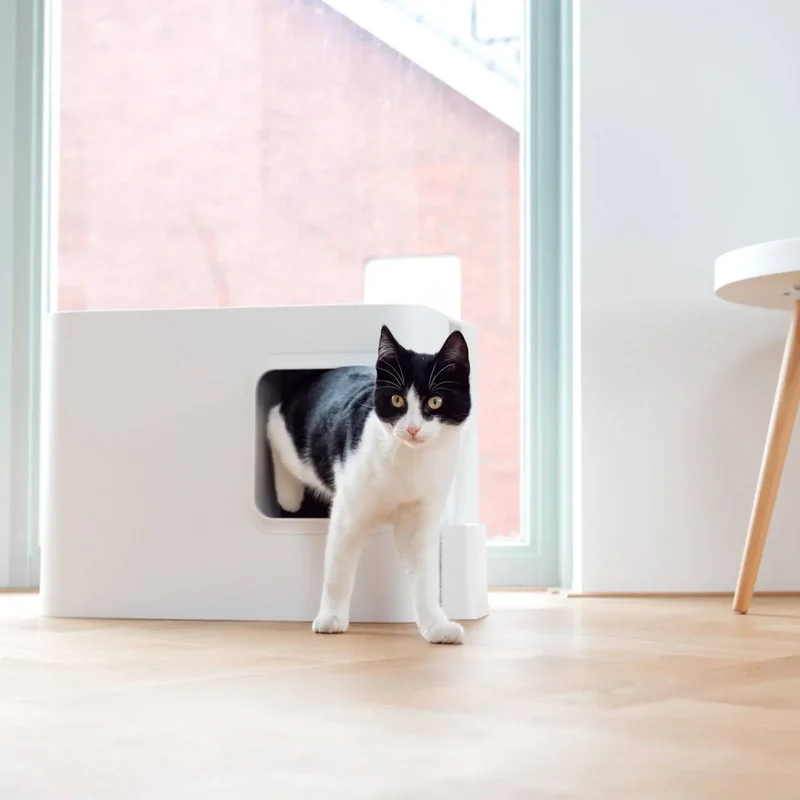 Nachhaltige Katzentoilette HOOPO® DOME | 100% recycelt | Weiss