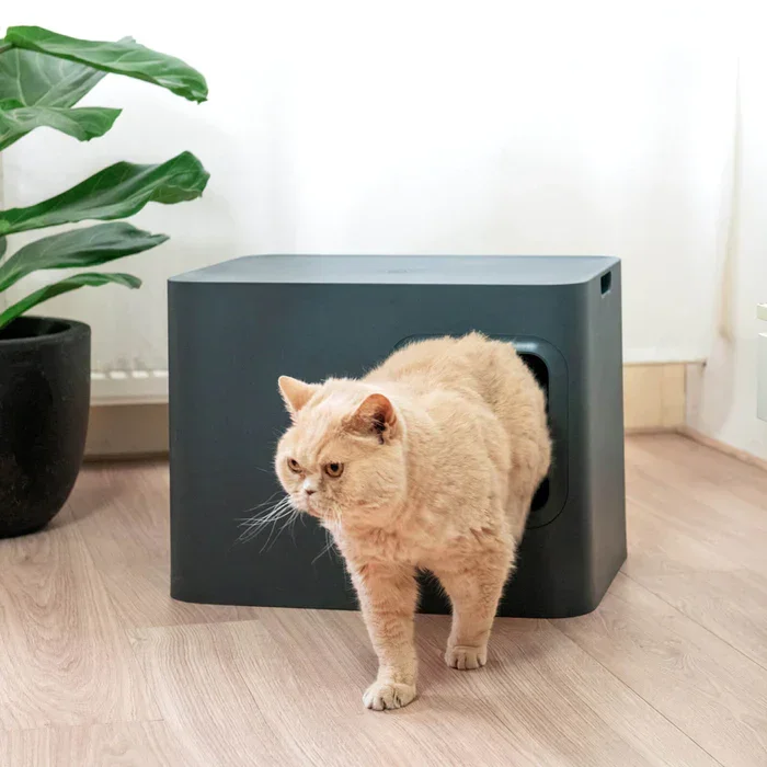 Nachhaltige Katzentoilette HOOPO® DOME | 100% recycelt | Grau