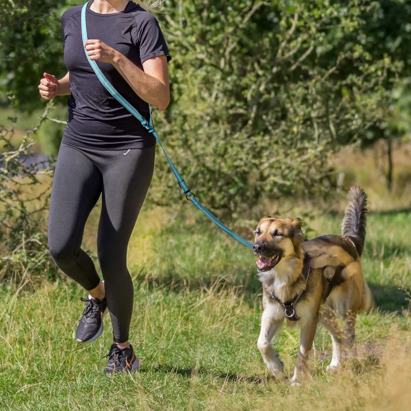 Joggingleine
