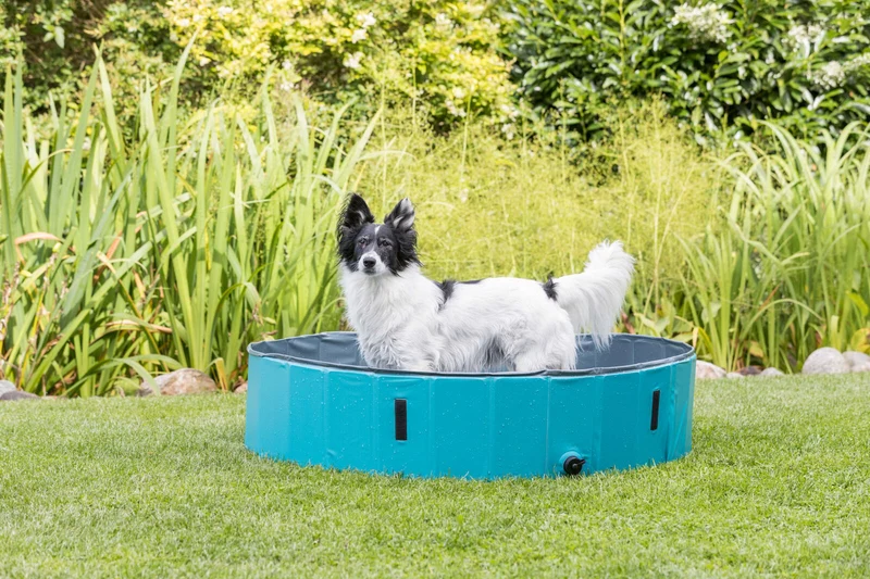 Hundepool