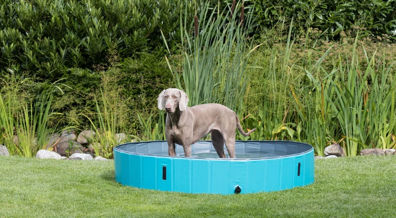 Hundepool