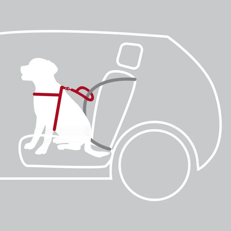 Hundeautogeschirr Comfort zur Sicherung auf Brusthöhe, mit Polsterung