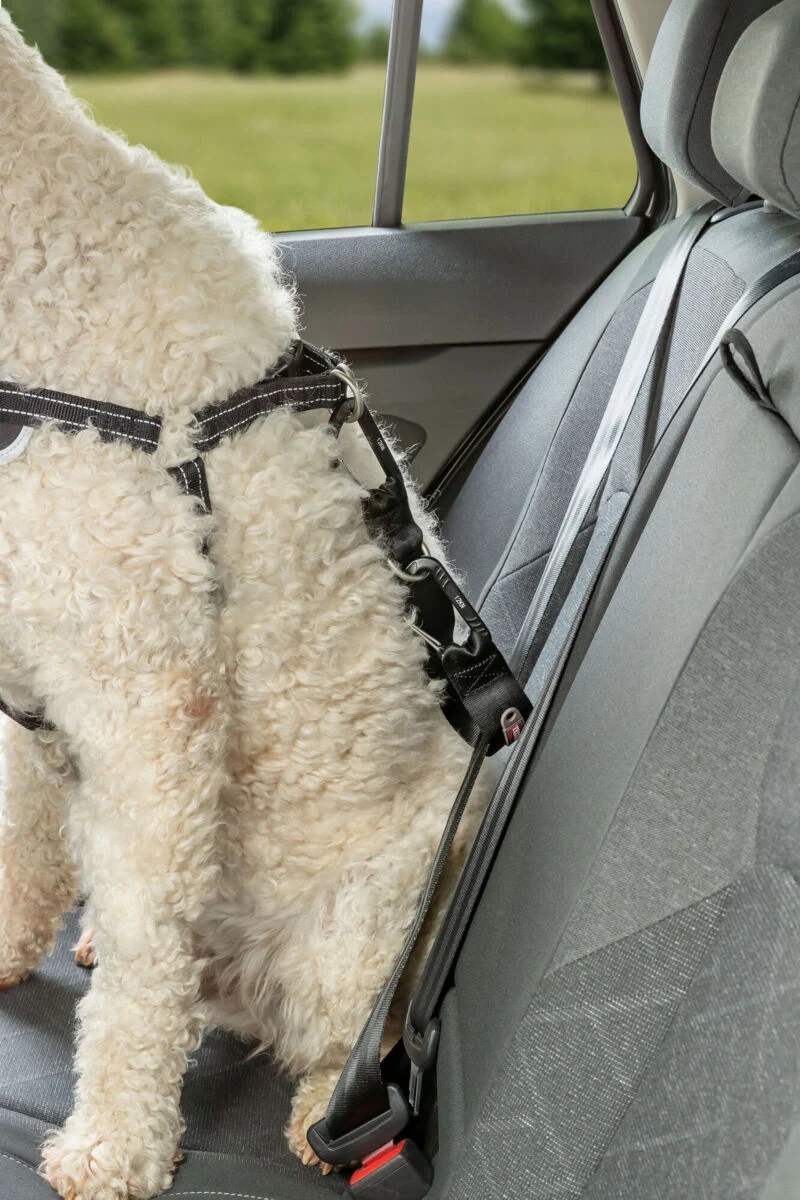 Hundeautogeschirr Comfort zur Sicherung auf Brusthöhe, mit Polsterung