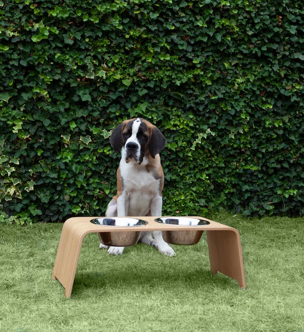 Futterstation dogBar® für Hunde | Edelstahl | Eiche hell | NEU: 6 Größen