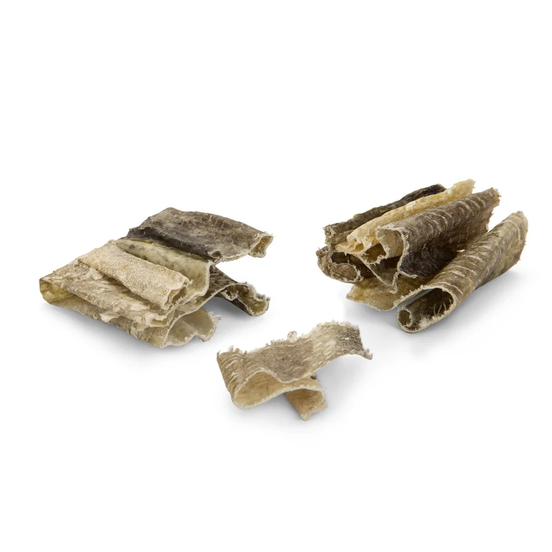 Beeztees Fisch Bites Hundesnack