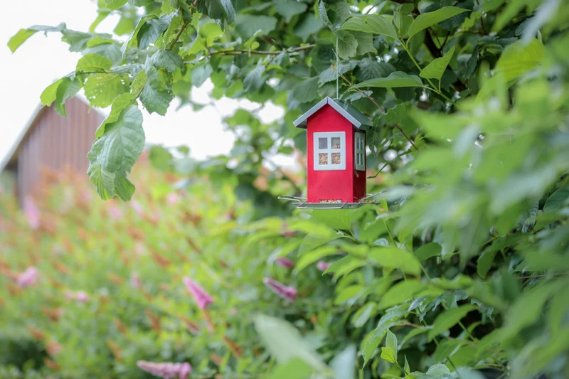 Futterhaus