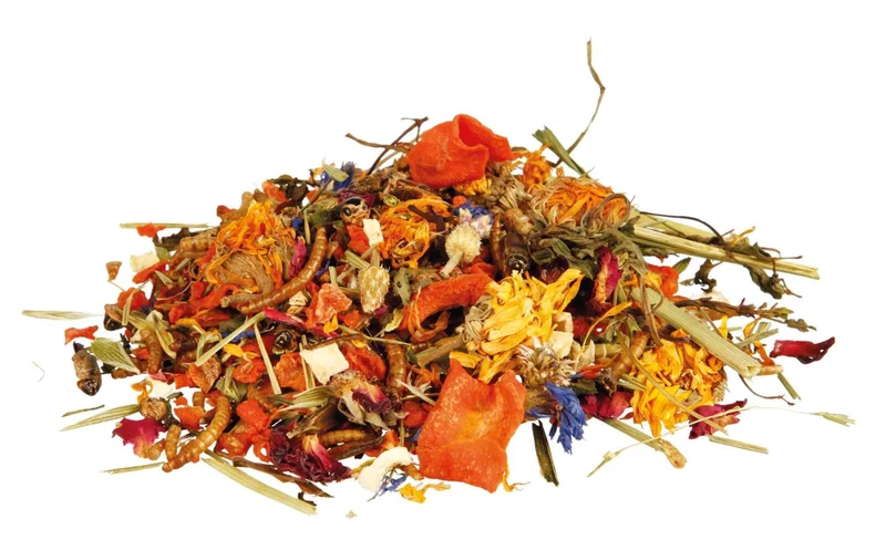 Naturfutter-Mix für Bartagamen