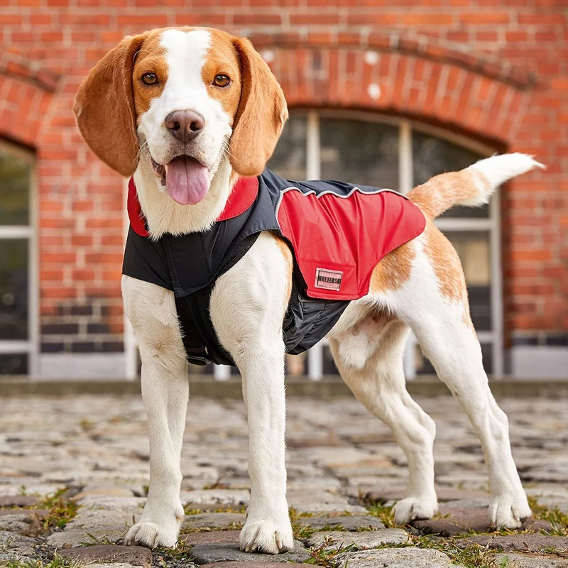 Wolters Easy Rain Regenjacke-wasserdichter Hundemantel