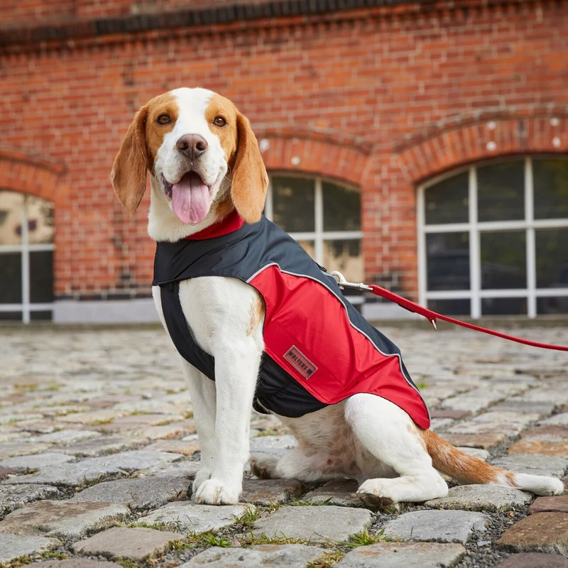 Wolters Easy Rain Regenjacke-wasserdichter Hundemantel