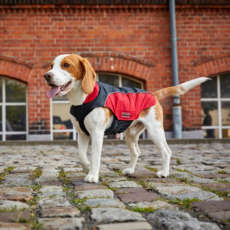 Wolters Easy Rain Regenjacke-wasserdichter Hundemantel