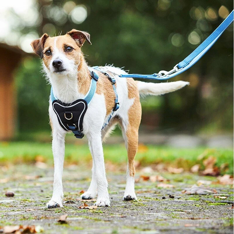 Wolters Hundegeschirr gepolstert Professional Comfort