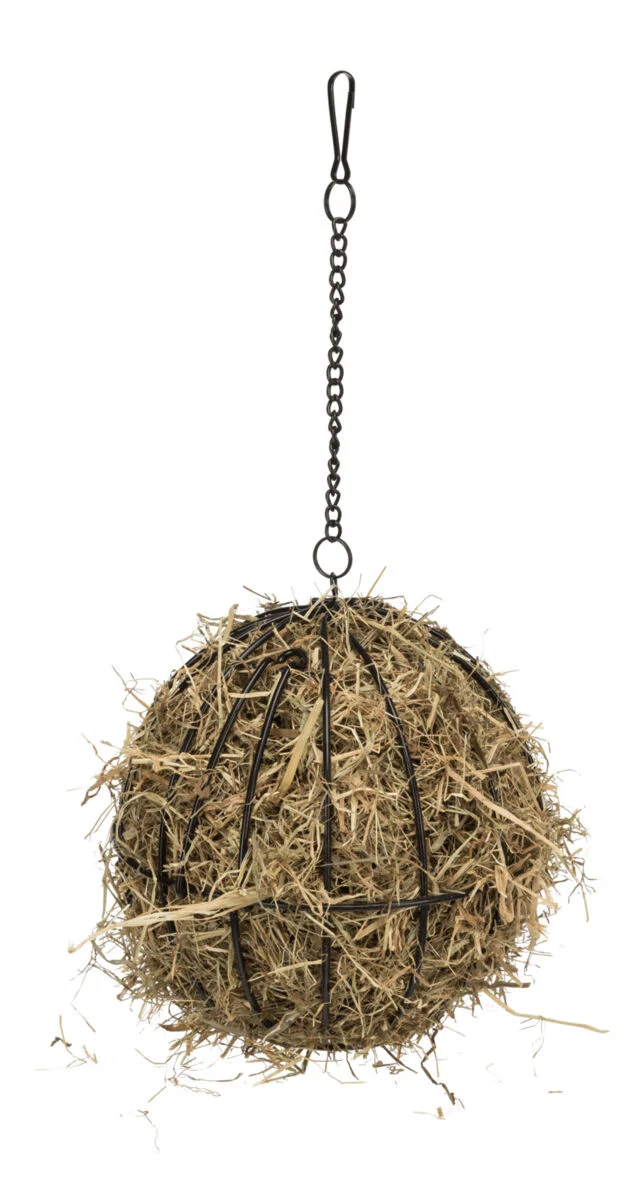 Food-Ball