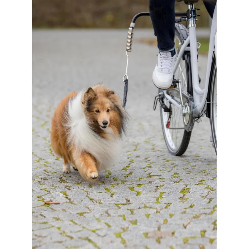 Biker-Set Hunde Abstandhalter für Fahrräder