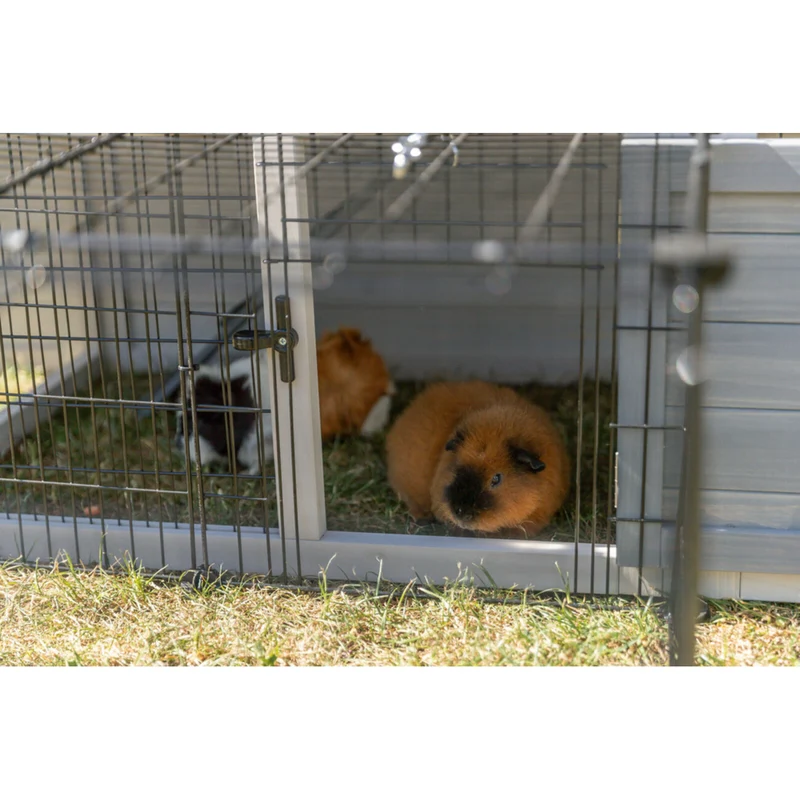 TRIXIE Freilaufgehege mit Abdeckung | Sicherer Auslauf für Kaninchen & Meerschweinchen