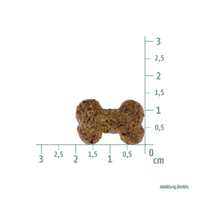 Vegetarischer Snack Apfel & Linsen - Knuspriger Hundegenuss