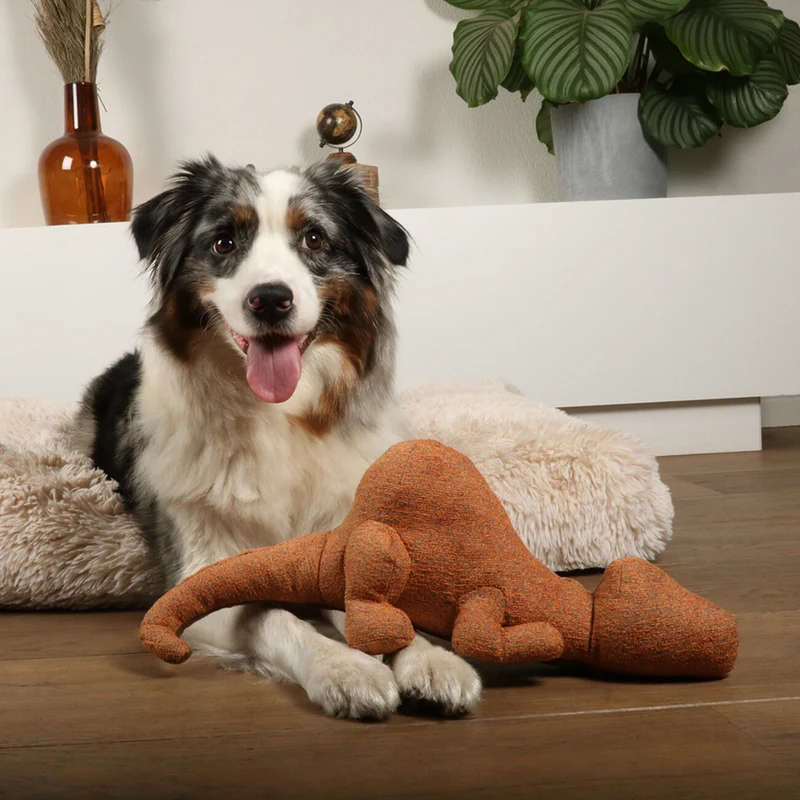 D&D HOME Hundespielzeug Quasi – Robuster Chenille-Kumpel mit Knotenseil