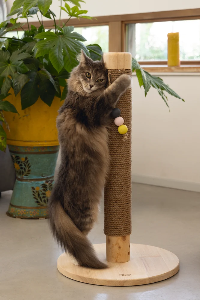 Designed by Lotte Sinora – Kratzbaum aus Holz mit Spielbällen