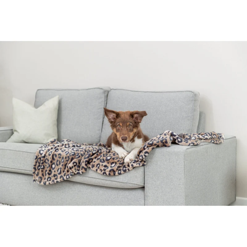 Hundedecke Leo