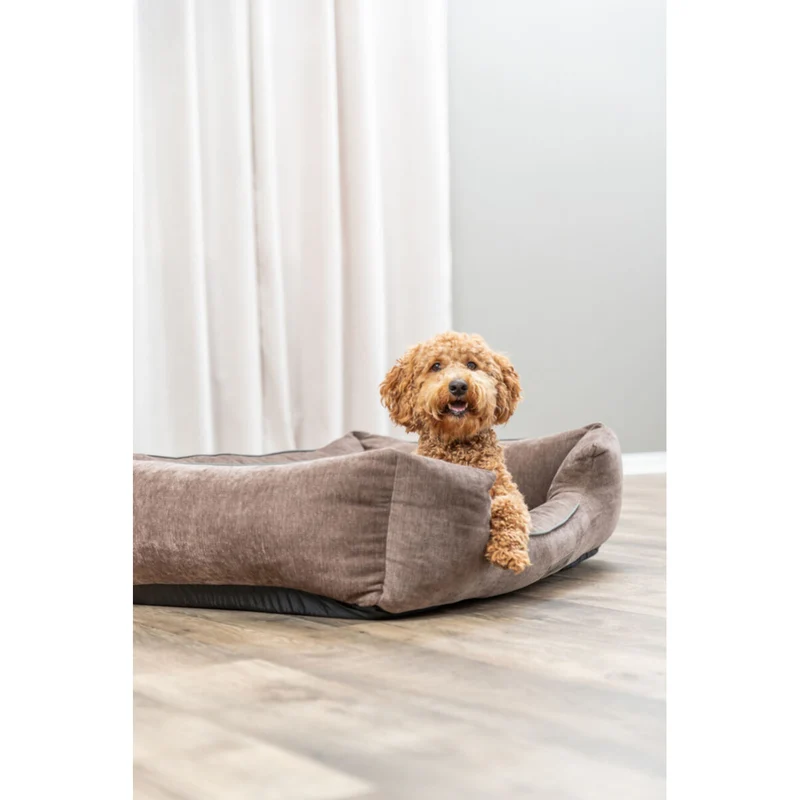 Vital Bett Lennox eckig, orthopädisches Hundebett