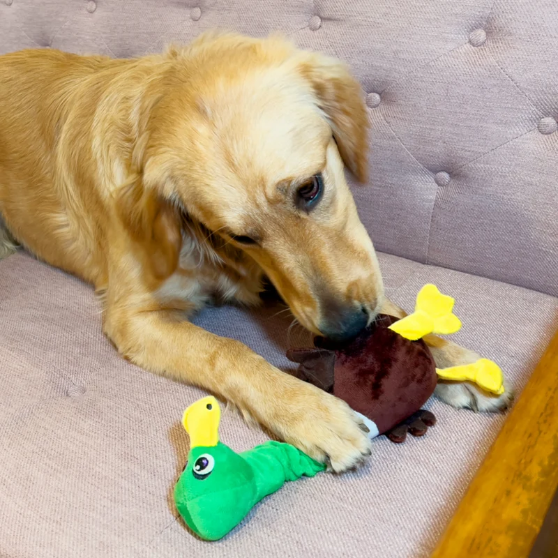 KONG Shakers Bobz Ente – Quietschendes Hundespielzeug für Apportier- & Kauspaß