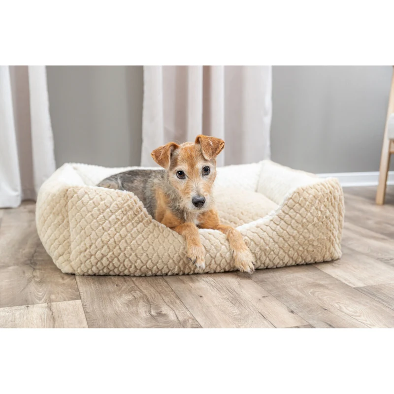 Bett Kaline Mio, eckig für Hunde