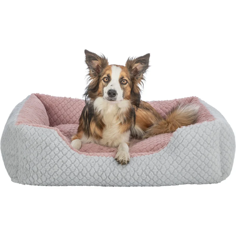 Bett Kaline Mio, eckig für Hunde