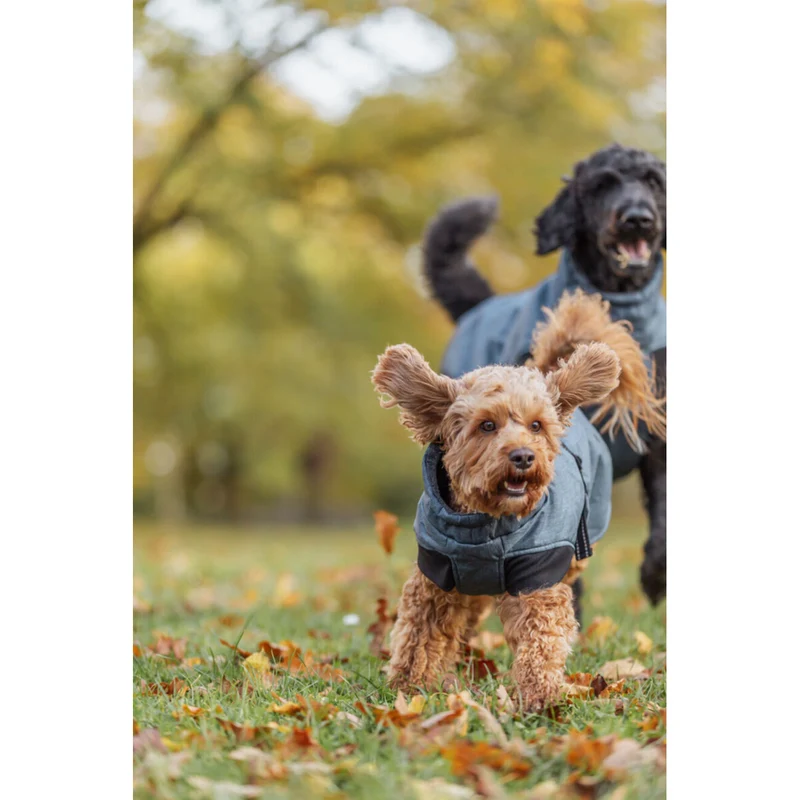 Wintermantel Riom für Hunde