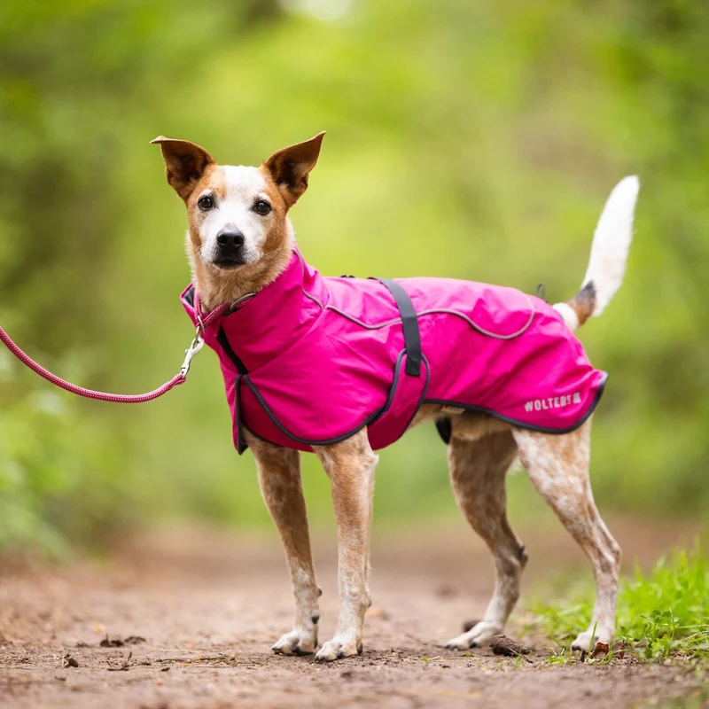 Wolters Cape Drizzle Ganzjahresmantel für Hunde