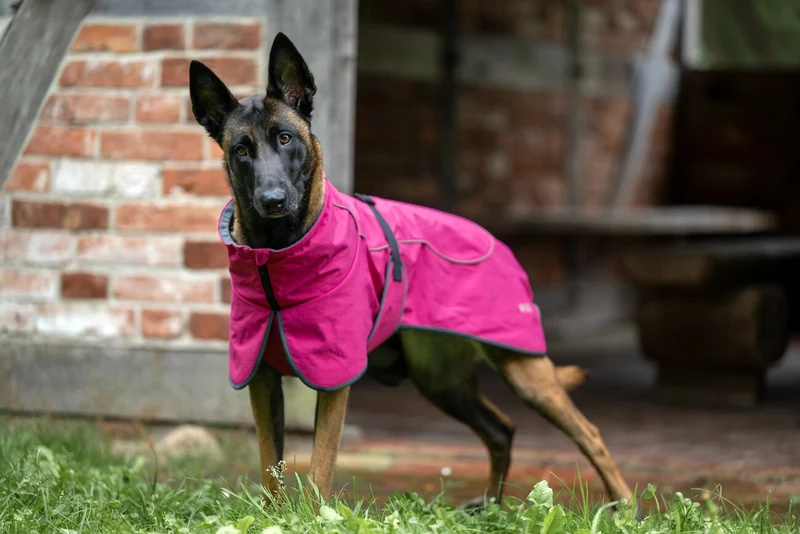 Wolters Cape Drizzle Ganzjahresmantel für Hunde