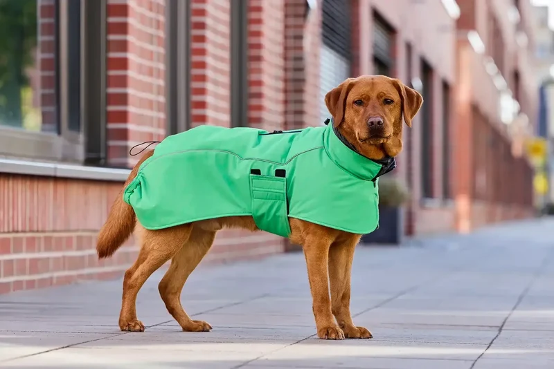 Wolters Cape Adventure Hundemantel Winterjacke