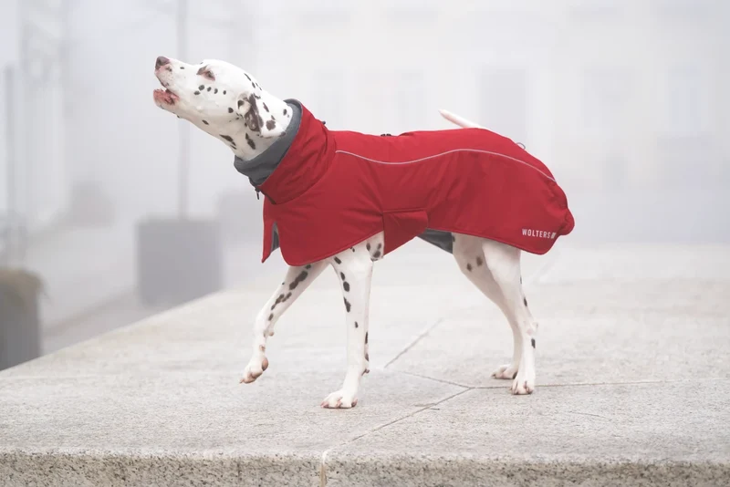 Wolters Cape Adventure Hundemantel Winterjacke