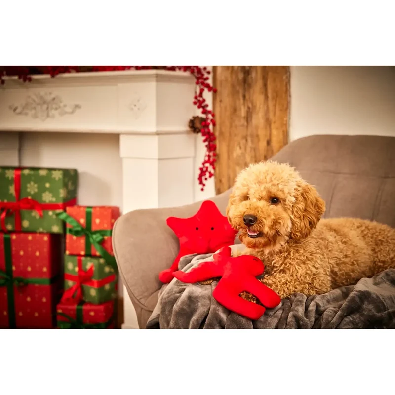 Xmas Weihnachten Christmas Range Hundespielzeug aus Softplüsch