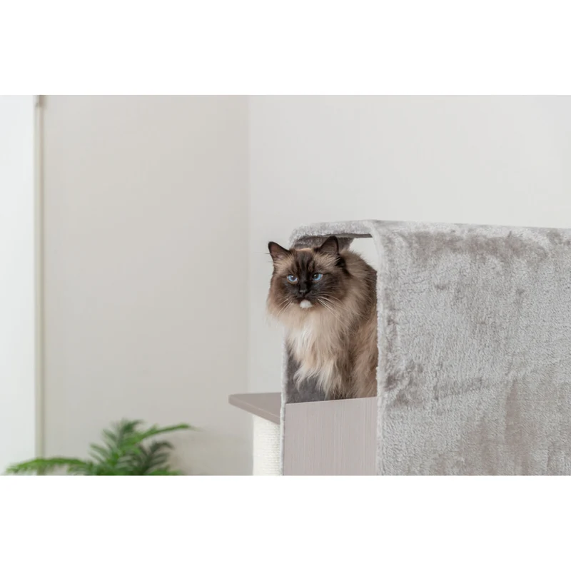 TRIXIE Kratzbaum Marina – Robuster Kratzbaum in Holz-Optik, ideal für mittlere Katzen 🏠