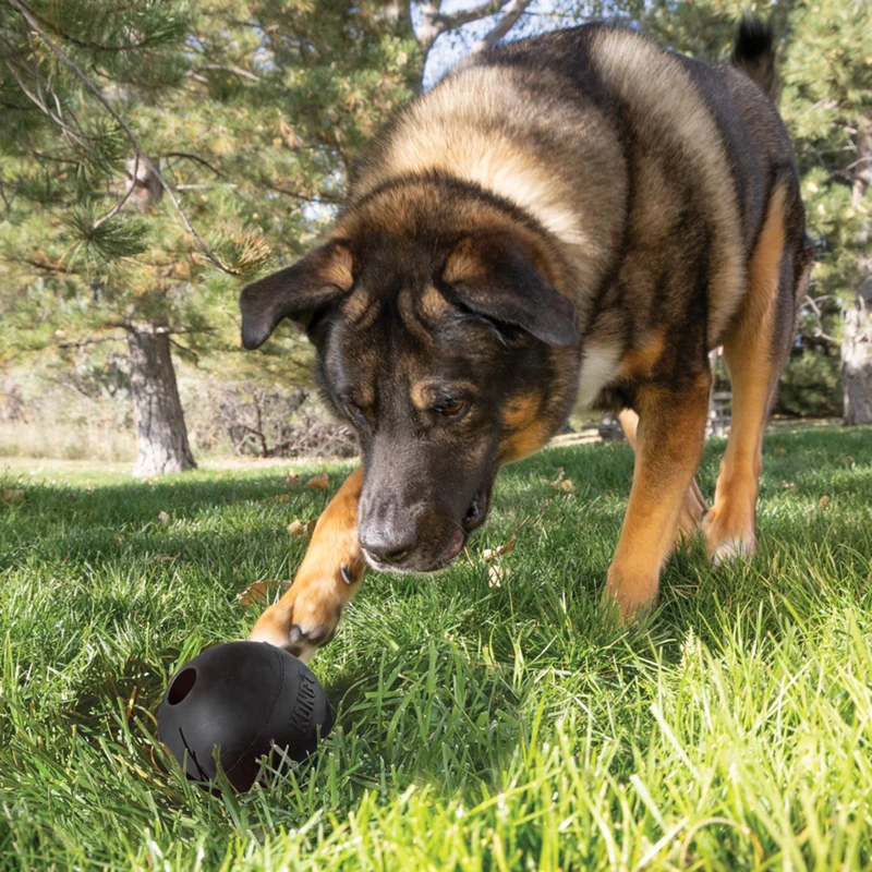 KONG Extreme Ball mit Loch – Robuster Hundeball aus Naturkautschuk | befüllbar | Gr. L