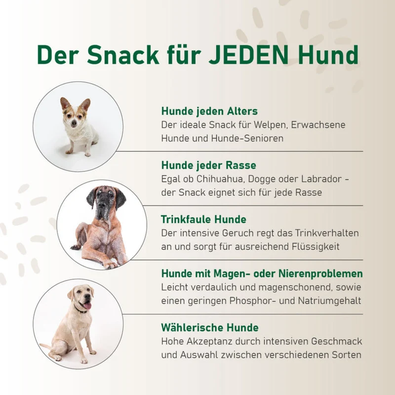 Probierpaket "12er Mix" - für jeden Hund!