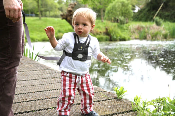 Sicherheitsgurt – Safety Harness