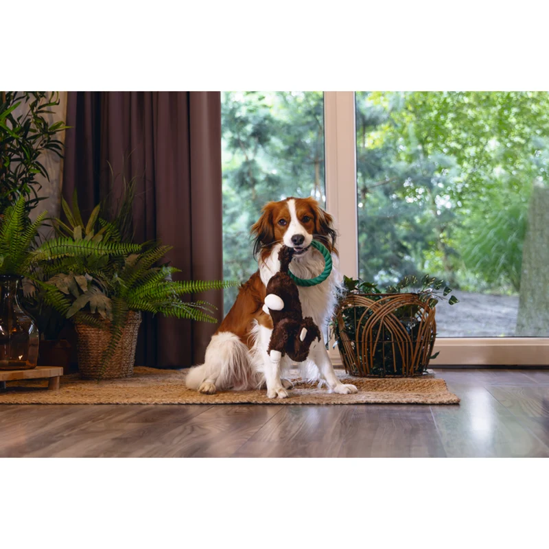 Plüsch-Seilspielzeug Dschungel Mats für Hunde