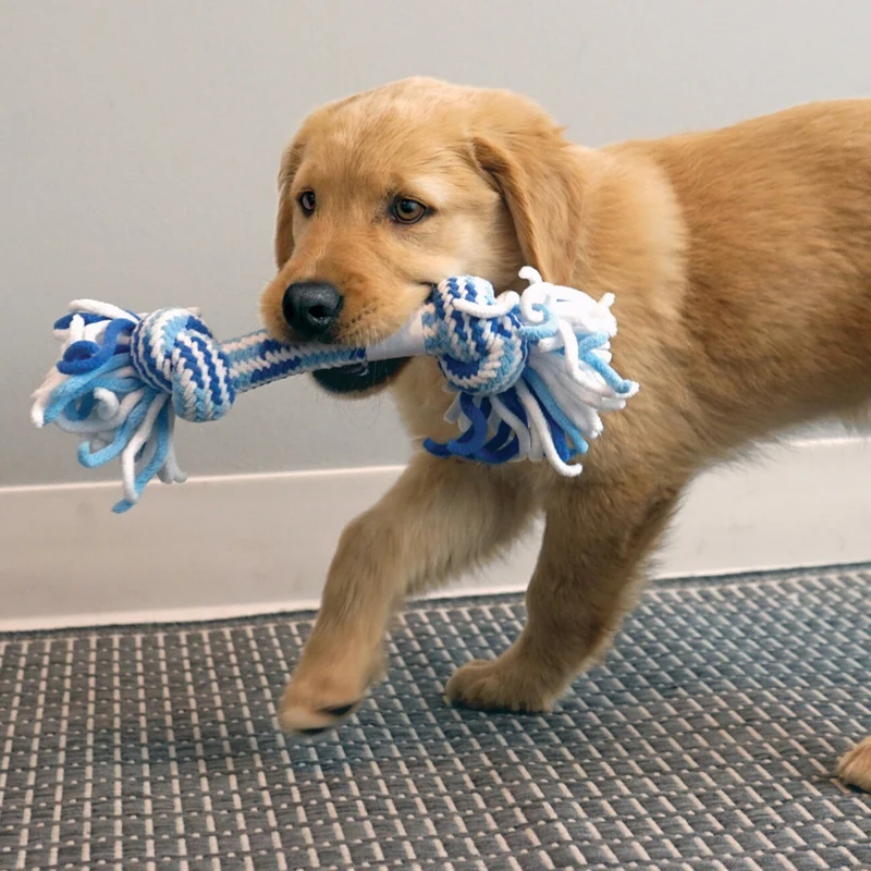 KONG Rope Ring Puppy – Seilring-Welpenspielzeug mit Quietscher | zahnschonend