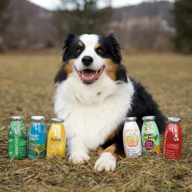 Probierpaket "Mix" - für jeden Hund!