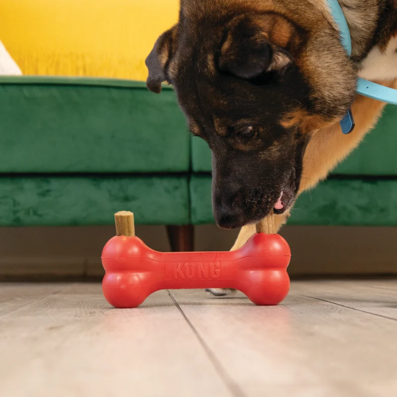 KONG Enhanced Ziggies – Kaustangen für Hunde mit Meeresalgen | zahnpflegend | S & M/L