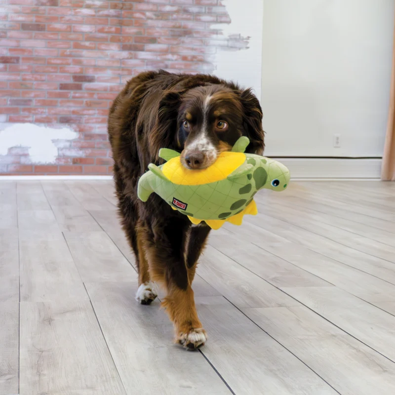 KONG Dynos Roars – Plüsch-Dino-Hundespielzeug mit übergroßem Quietscher | Apportieren & Zerren